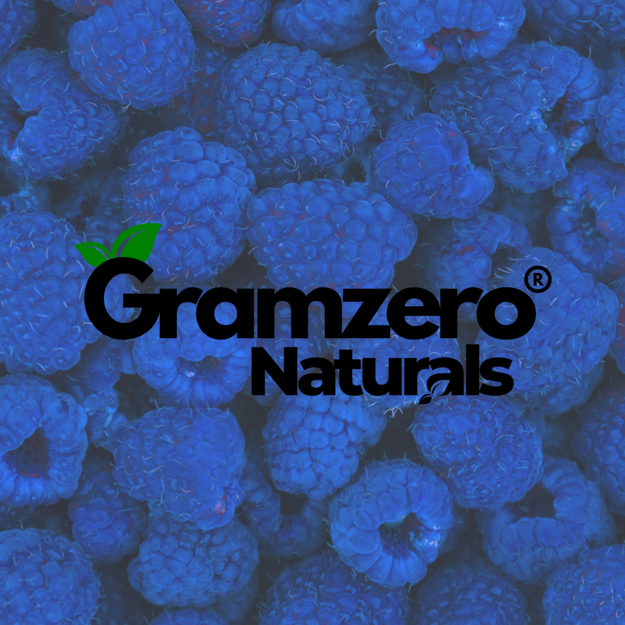 BLUE RASPBERRY ALL NATURAL Sugar Free Drink Mix Stevia Sweetened 4.5oz
