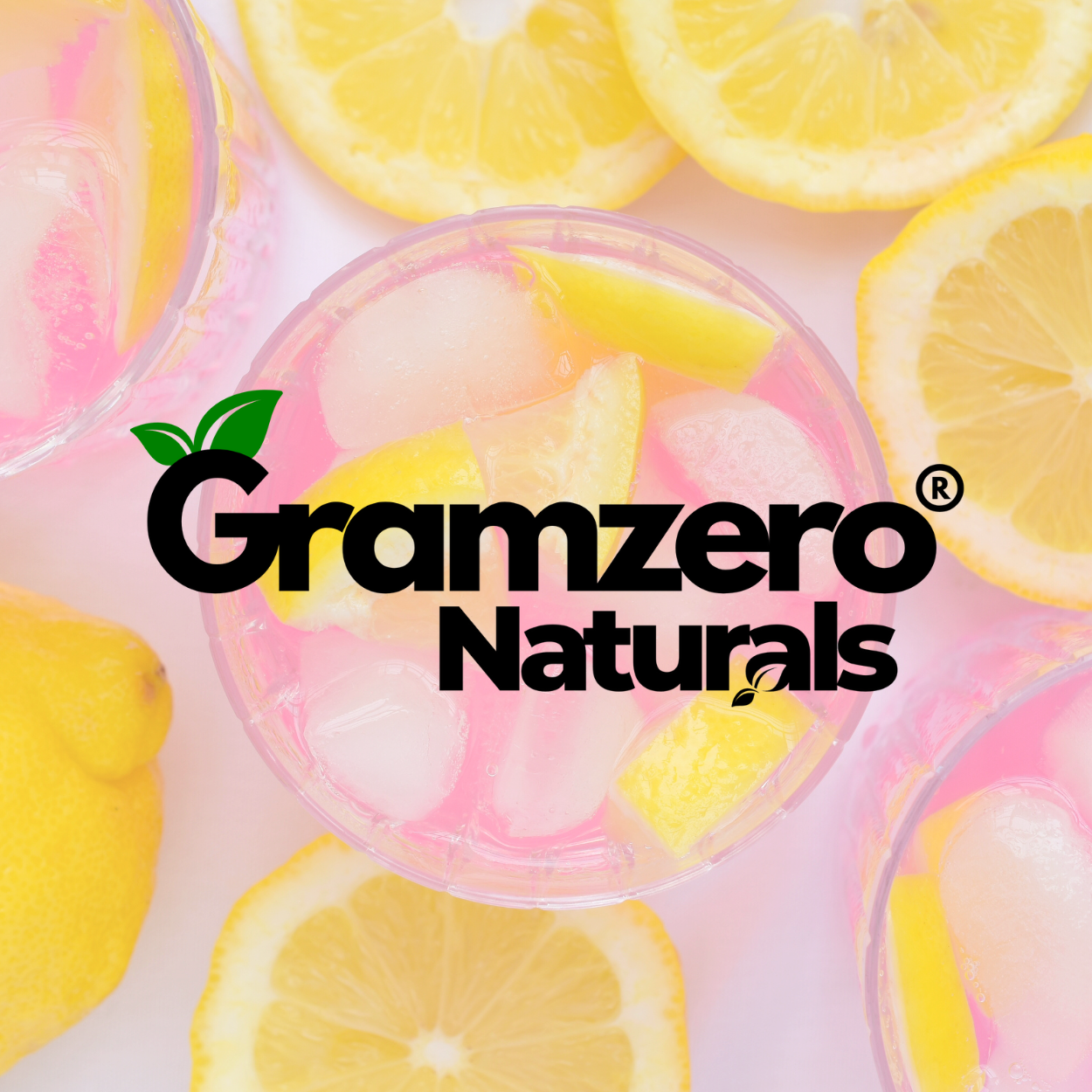 PINK LEMONADE ALL NATURAL Sugar Free Drink Mix Stevia Sweetened 4.5oz