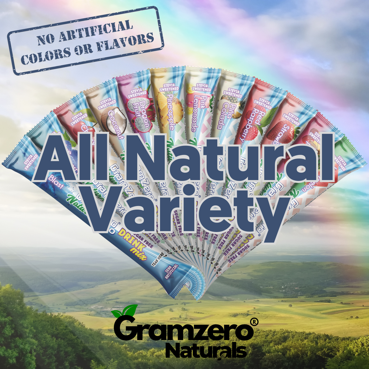 VARIETY ALL NATURAL 2GO Sugar Free Drink Mix Sticks: 12 Pack - Great for Loaded Tea Kits