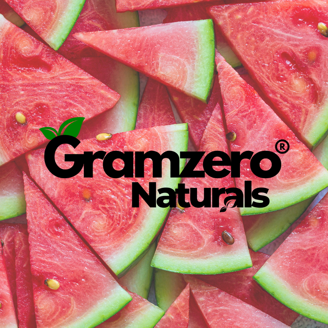 WATERMELON ALL NATURAL Sugar Free Drink Mix Stevia Sweetened 4.5oz