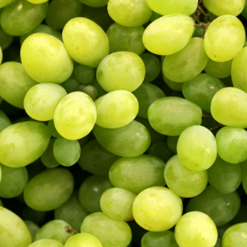 WHITE GRAPE Zero Calorie Sugar Free Drink Mix with Natural Color, Stevia Sweetened, Great for Loaded Tea, 4.5 Oz