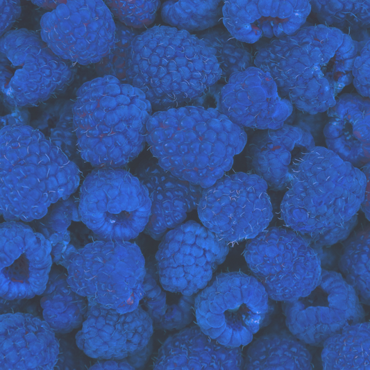 BLUE RASPBERRY 2GO Sticks - Sugar Free Drink Mix with Natural Colors and Flavors: 10 Pack - Great for Loaded Tea Kits