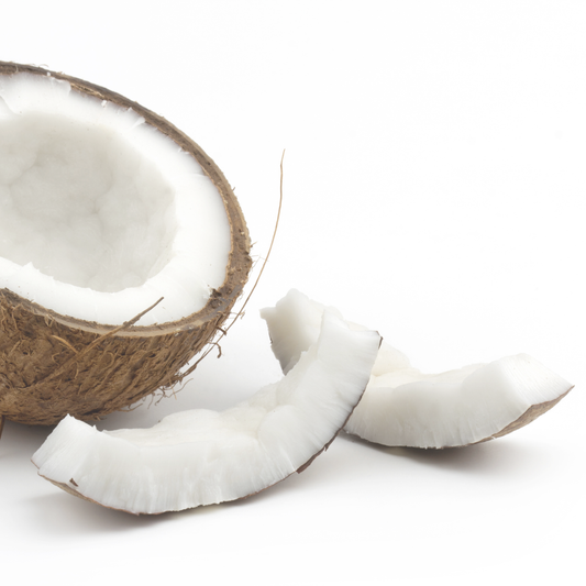 COCONUT 2GO Sticks - Sugar Free Drink Mix with Natural Colors and Flavors: 10 Pack - Great for Loaded Tea Kits
