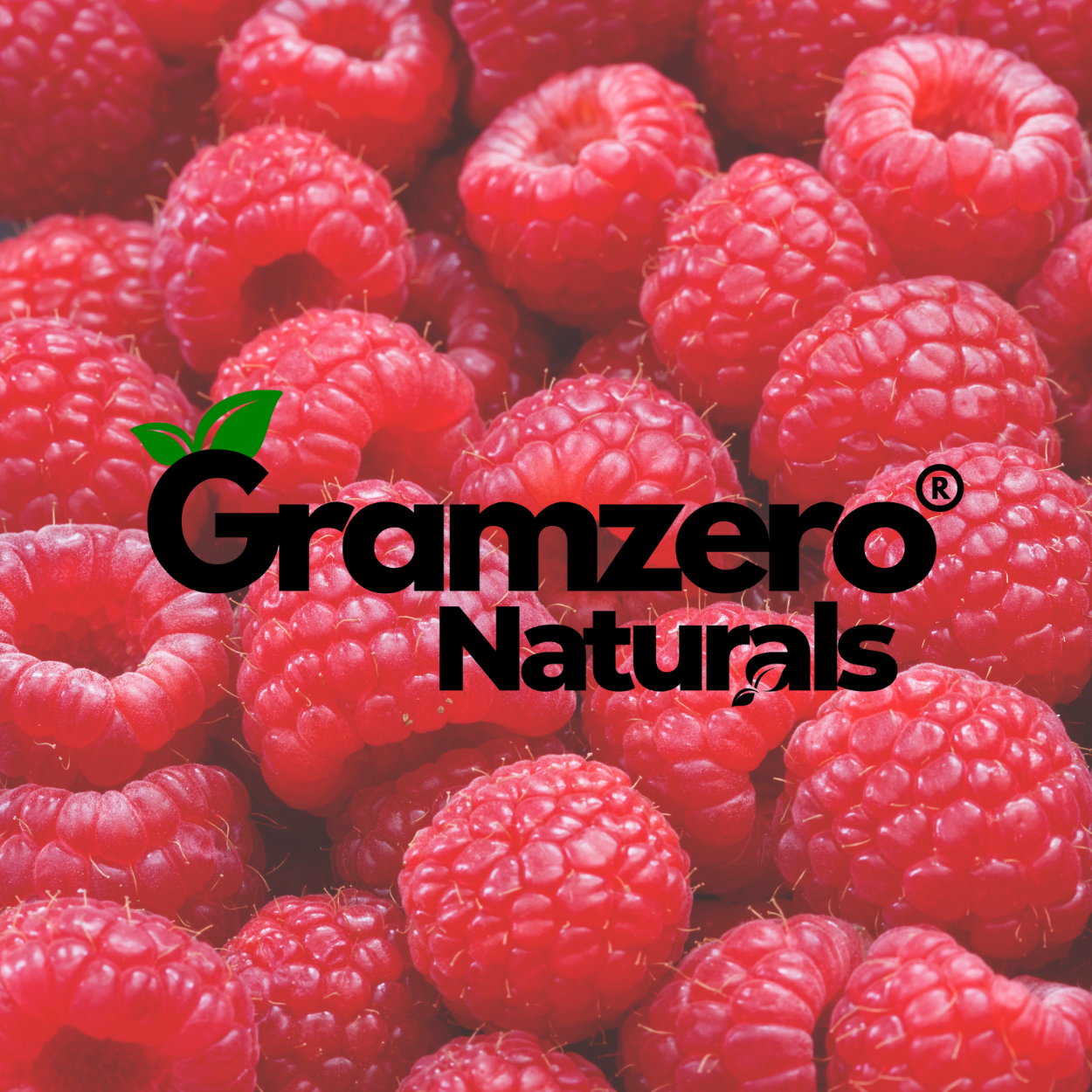 RED RASPBERRY ALL NATURAL 2GO Sugar Free Drink Mix Sticks: 10 Pack - Great for Loaded Tea Kits