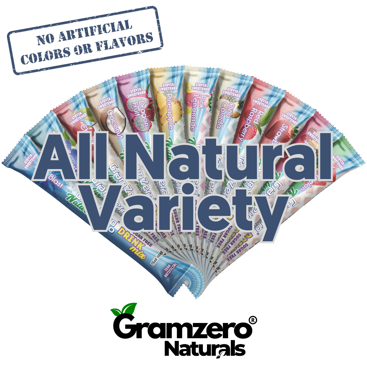 VARIETY ALL NATURAL 2GO Sugar Free Drink Mix Sticks: 12 Pack - Great for Loaded Tea Kits